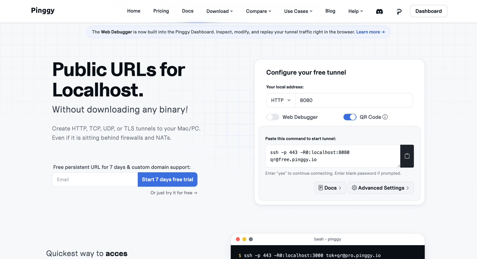 Pinggy - Product Image